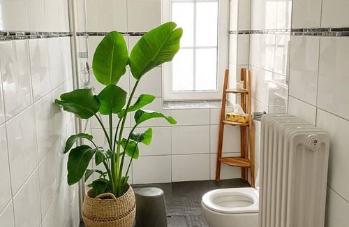 New Town Apartamento | Cologne City Loft for up to 8 people