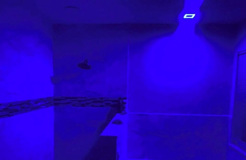 Orlando Casa | Come stay at our wonderful spacious home ask whatever you want