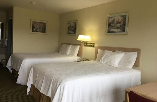 Cabot Complejo | Comfort and Convenience! 4 Pet-friendly Units, Free Breakfast & Parking, Pool