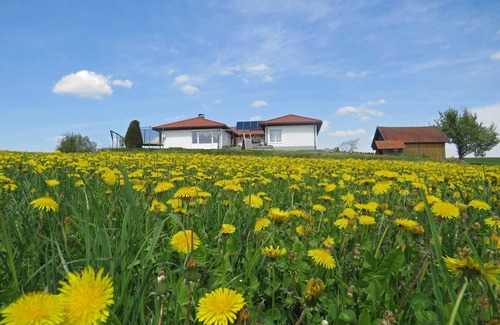 Esternberg Casa | Confort Casa Bungalow en tierra, 12 personas 5 dormitorios