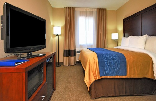 Albuquerque Hotel | Comfort Inn Albuquerque Airport