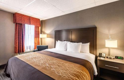 Ballston Hotel | Comfort Inn Ballston