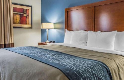 Rostraver Hotel | Comfort Inn Belle Vernon