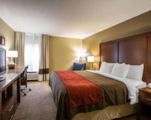 Asheville Hotel | Comfort Inn Biltmore West