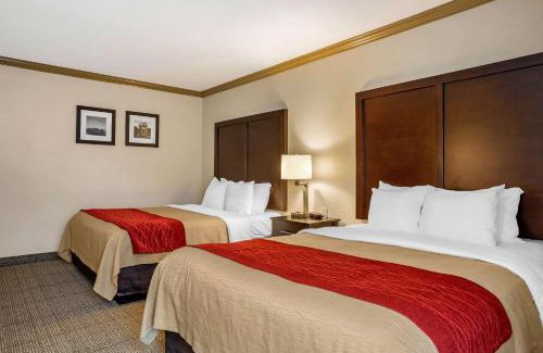 Castro Valley Hotel | Comfort Inn Castro Valley