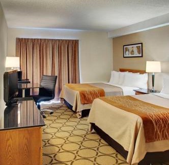 Moncton Hotel | Comfort Inn East