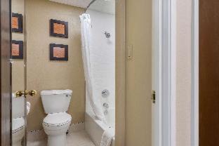 Indianapolis Hotel | Comfort Inn Indianapolis South