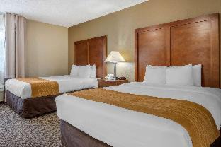 Indianapolis Hotel | Comfort Inn Indianapolis South