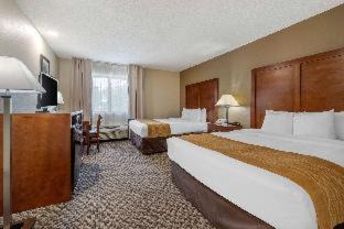 Indianapolis Hotel | Comfort Inn Indianapolis South
