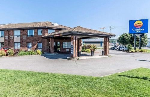 Riviere-du-Loup Regional County Municipality Hotel | Comfort Inn Riviere-du-Loup