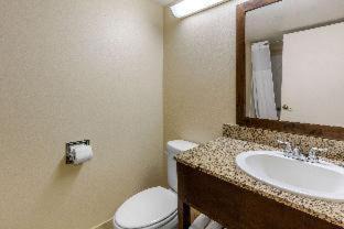 St. Petersburg - Clearwater Hotel | Comfort Inn St Petersburg North