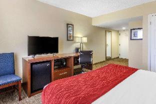 St. Petersburg - Clearwater Hotel | Comfort Inn St Petersburg North