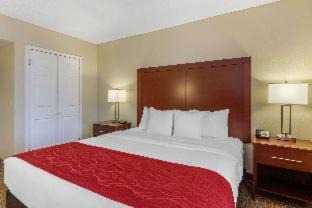 St. Petersburg - Clearwater Hotel | Comfort Inn St Petersburg North