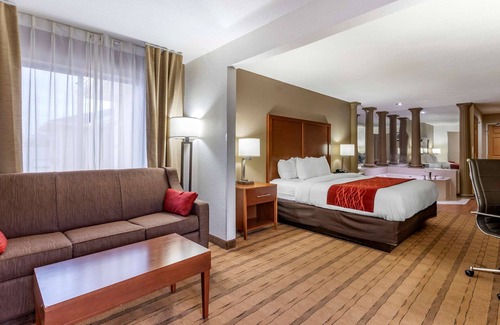 Cedar Rapids Hotel | Comfort Inn & Suites Cedar Rapids North - Collins Road