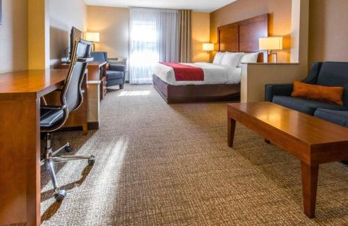 Erie Hotel | Comfort Inn & Suites Erie - Splash Lagoon Indoor Waterpark