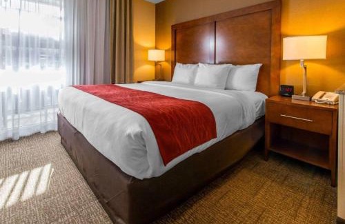 Erie Hotel | Comfort Inn & Suites Erie - Splash Lagoon Indoor Waterpark