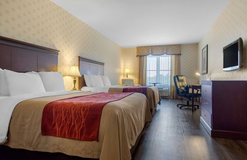 Saint-Nicolas Hotel | Comfort Inn & Suites Levis / Rive Sud Quebec city