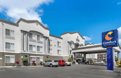 Southeastern Sacramento Hotel | Comfort Inn & Suites Sacramento - University Area