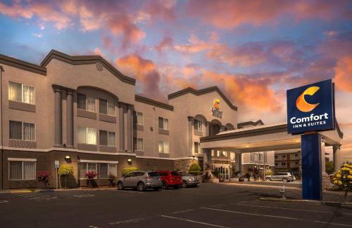 Southeastern Sacramento Hotel | Comfort Inn & Suites Sacramento - University Area