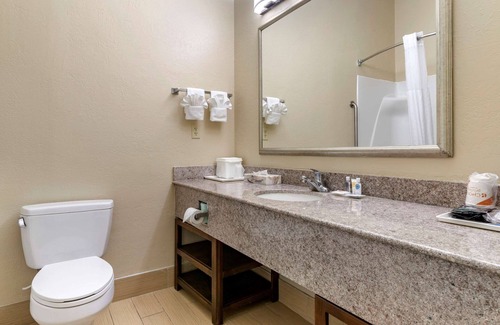 Statesboro Hotel | Comfort Inn & Suites Statesboro - University Area