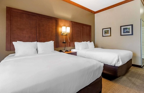Statesboro Hotel | Comfort Inn & Suites Statesboro - University Area