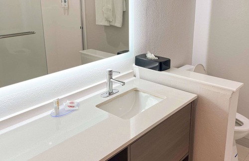 Clearwater Hotel | Comfort Suites Clearwater - Dunedin