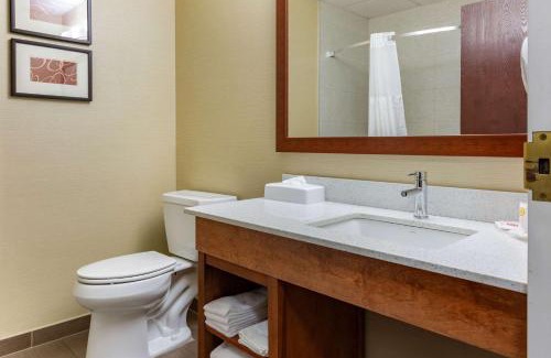 Dover Hotel | Comfort Suites Dover University Area
