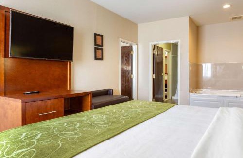Dover Hotel | Comfort Suites Dover University Area