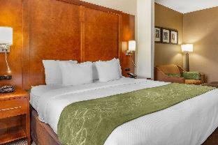 Dover Hotel | Comfort Suites Dover University Area