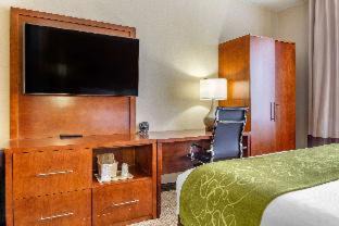 Dover Hotel | Comfort Suites Dover University Area