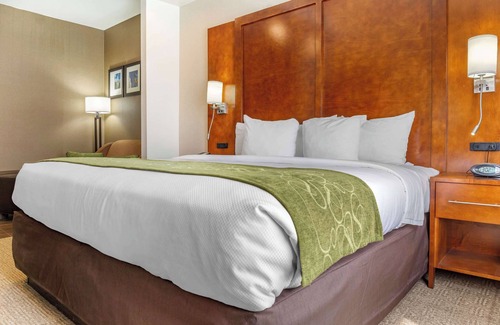 Dover Hotel | Comfort Suites Dover