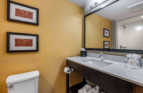 Dania Beach Hotel | Comfort Suites Fort Lauderdale Airport South & Cruise Port