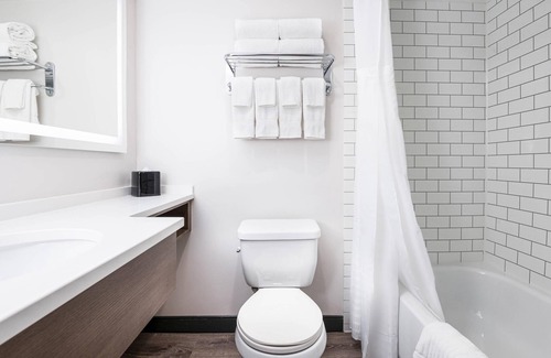 Kingston Hotel | Comfort Suites Kingston Central