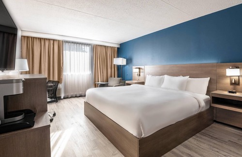 Kingston Hotel | Comfort Suites Kingston Central