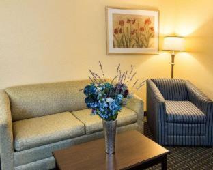 Nacogdoches Hotel | Comfort Suites Nacogdoches
