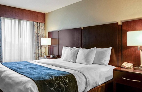 Hot Springs Hotel | Comfort Suites near Hot Springs Park