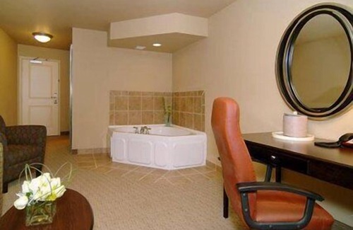 Hot Springs Hotel | Comfort Suites near Hot Springs Park
