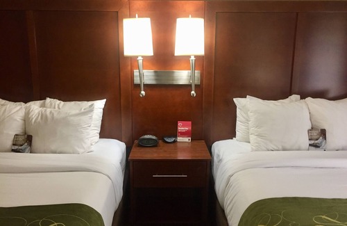 Cary Hotel | Comfort Suites Regency Park