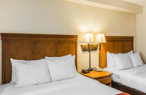 Valdosta Hotel | Comfort Suites Valdosta Mall Area