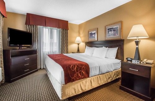 Portage Hotel | Comfort Suites Wisconsin Dells Area