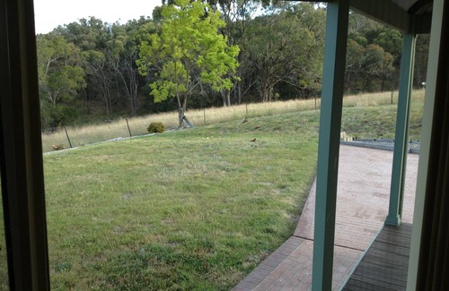 Lost River Casa | Cómoda casa en 200 Ac. Granja ganadera de trabajo. Río y vistas.