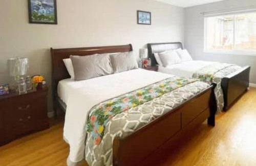 Excelsior Casa | Comfortable 3Br 2 5ba Unit in SF