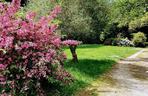 Suce-sur-Erdre Condominio | Comfortable gîte, spacious garden with swimming pool, close to the Erdre river.