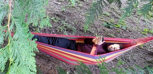 Kent Cama Y Desayuno | Comfy, Cozy BnB Kent WA "Private Bathroom"