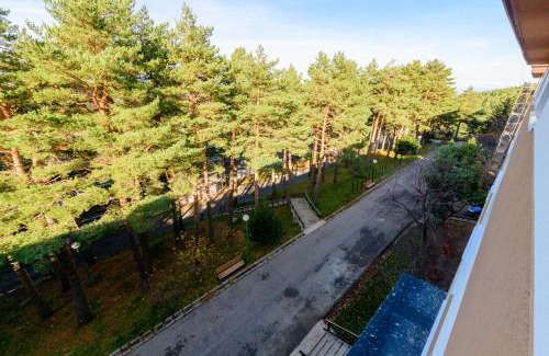 Riaza Apartamento | Comodo Apartamento Esquia y Relájate en La Pinilla