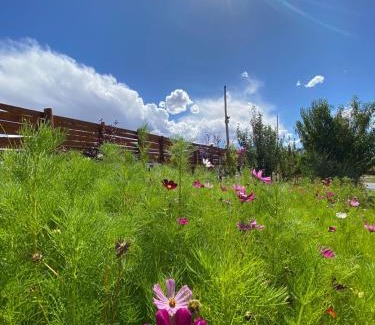 Calingasta Otro | Complejo HUNUC