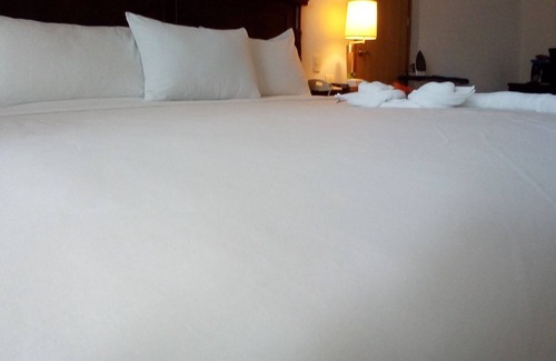 Marina Vallarta Hotel | CONDO SHAGUI BY TRVL2HM