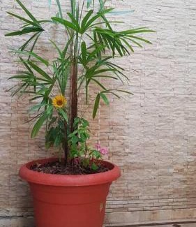 Guayaquil Apartamento | Condominio Charito Suite 2G a 12 Min Malecon 2000