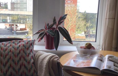 Harrogate City Centre Casa | Conference View Guest House