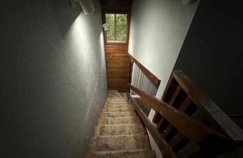 Tallahassee Apartamento | Convenient, Cozy, Cheap, Comfortable